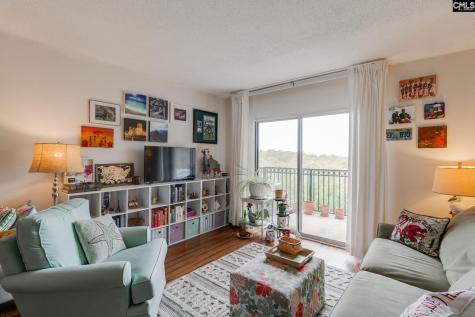 619 King Street 509 Columbia SC 29205