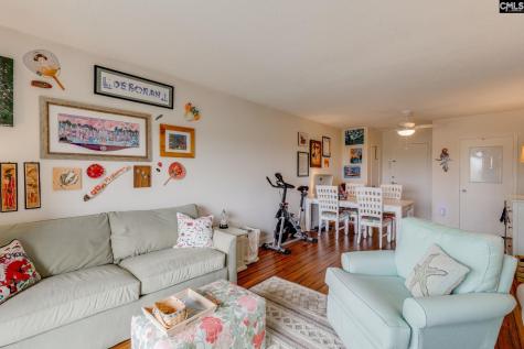 619 King Street 509 Columbia SC 29205