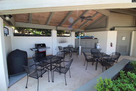 1441 Old Chapin Road 231 Lexington SC 29072