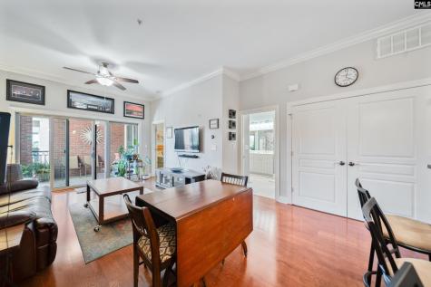 1324 Pulaski Street A303 Columbia SC 29201