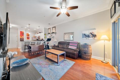 1324 Pulaski Street A303 Columbia SC 29201