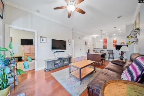 1324 Pulaski Street A303 Columbia SC 29201