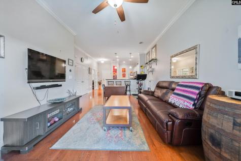 1324 Pulaski Street A303 Columbia SC 29201