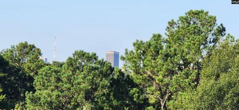 1825 Street Julian Place 10l Columbia SC 29204