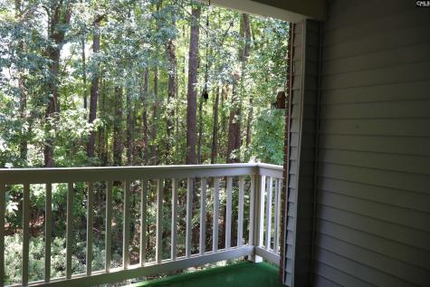 175 Hulon Greene Place 8 Columbia SC 29169