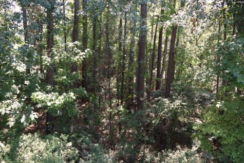 175 Hulon Greene Place 8 Columbia SC 29169