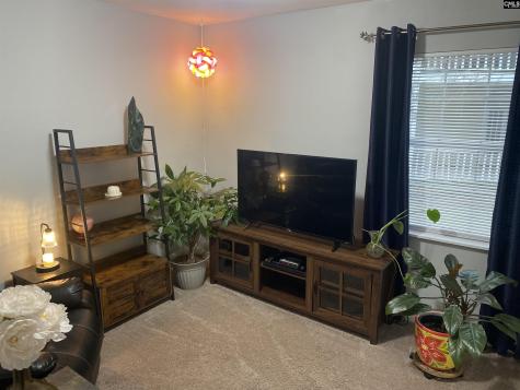 29 Battery Walk Court B Columbia SC 29212