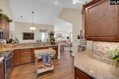 1302 Laryn Lane Lexington SC 29072