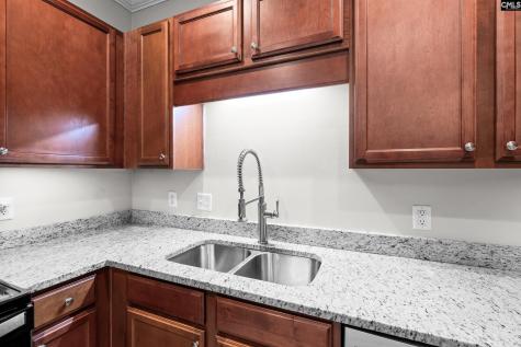 143 Breezes Drive 26b Lexington SC 29072