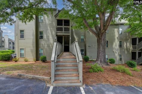 1441 Old Chapin Road 721 Lexington SC 29072