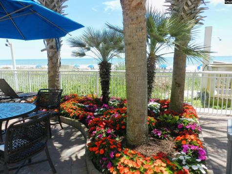 2201 S Ocean Boulevard 1603 Myrtle Beach SC 29577