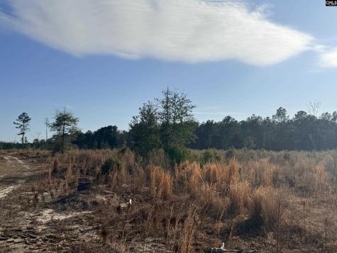0 Festival Trail Road Salley SC 29137
