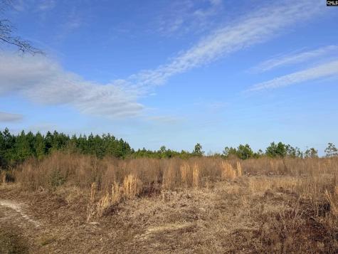 0 Festival Trail Road Salley SC 29137