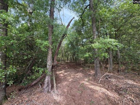 Rrf 2 Rogers Cemetery Road Salley SC 29137