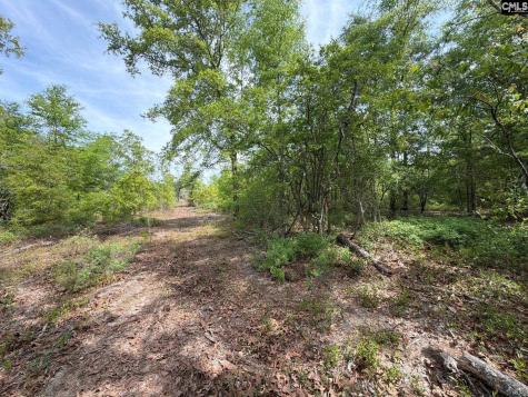 Rrf 2 Rogers Cemetery Road Salley SC 29137