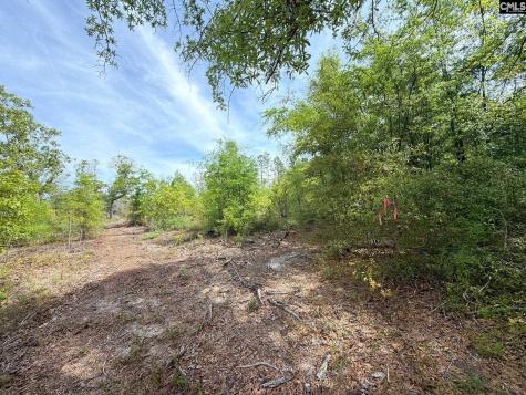 Rrf 2 Rogers Cemetery Road Salley SC 29137