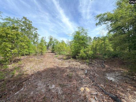 Rrf 2 Rogers Cemetery Road Salley SC 29137