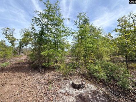Rrf 2 Rogers Cemetery Road Salley SC 29137