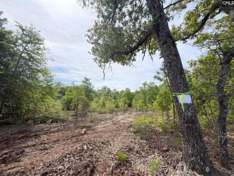 Rrf 2 Rogers Cemetery Road Salley SC 29137