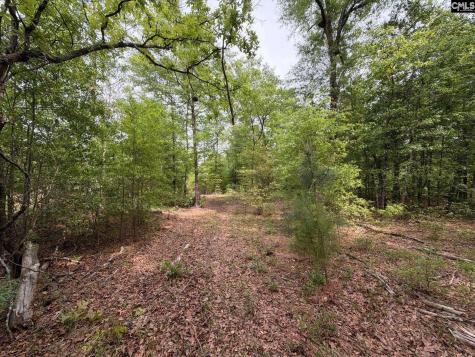 Rrf 2 Rogers Cemetery Road Salley SC 29137