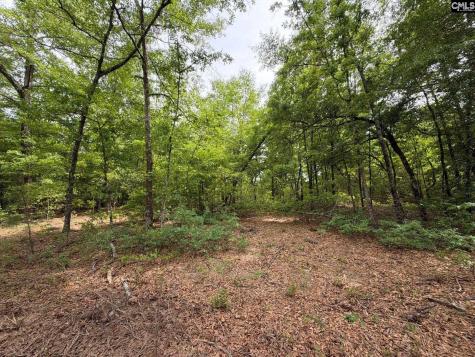 Rrf 2 Rogers Cemetery Road Salley SC 29137
