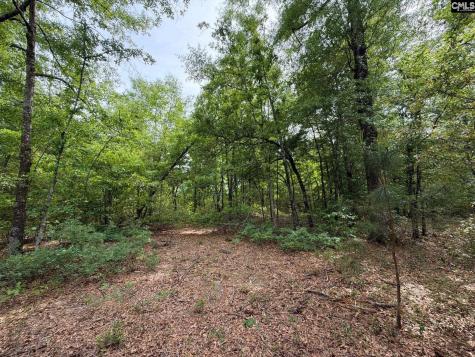 Rrf 2 Rogers Cemetery Road Salley SC 29137