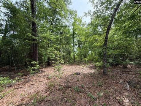 Rrf 2 Rogers Cemetery Road Salley SC 29137