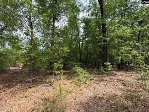 Rrf 2 Rogers Cemetery Road Salley SC 29137