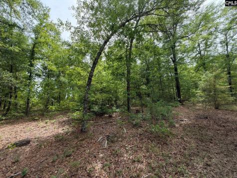 Rrf 2 Rogers Cemetery Road Salley SC 29137