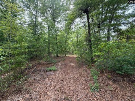 Rrf 2 Rogers Cemetery Road Salley SC 29137