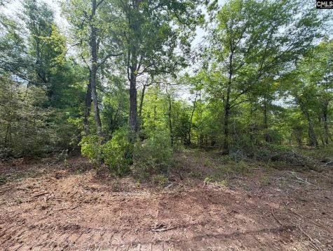 Rrf 2 Rogers Cemetery Road Salley SC 29137