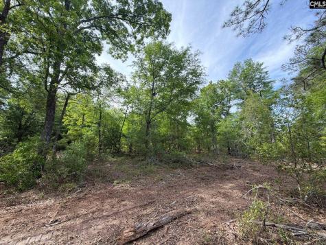 Rrf 2 Rogers Cemetery Road Salley SC 29137