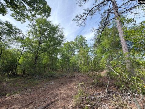 Rrf 2 Rogers Cemetery Road Salley SC 29137