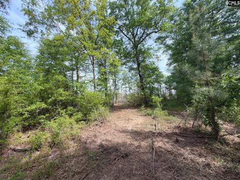 Rrf 2 Rogers Cemetery Road Salley SC 29137