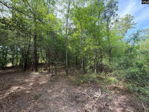 Rrf 2 Rogers Cemetery Road Salley SC 29137