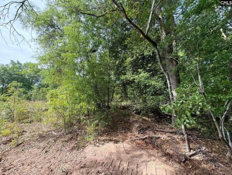 Rrf 2 Rogers Cemetery Road Salley SC 29137