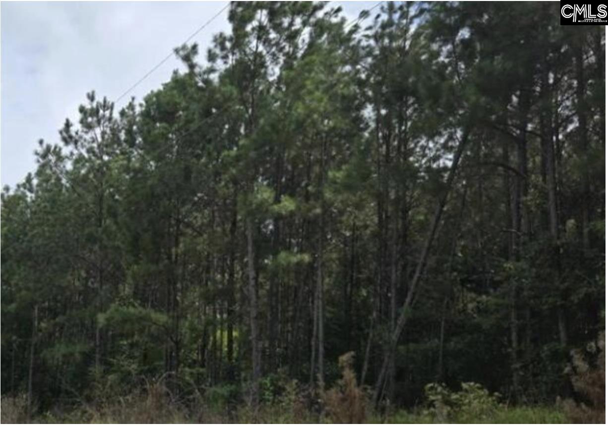 3 Acres Old Edgefield Road Ninety Six SC 29666