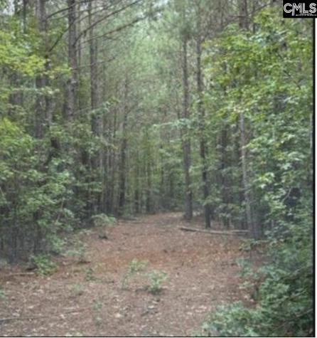 3 Acres Old Edgefield Road Ninety Six SC 29666