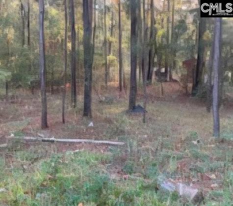 35 Simmons Drive Camden SC 29020