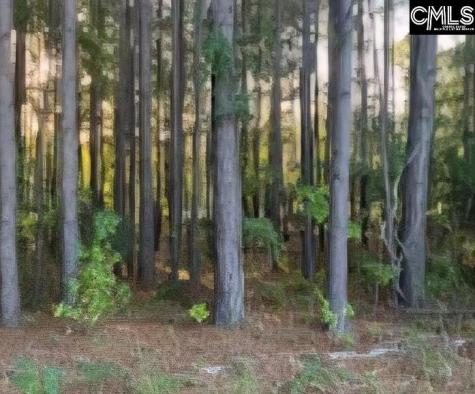 35 Simmons Drive Camden SC 29020