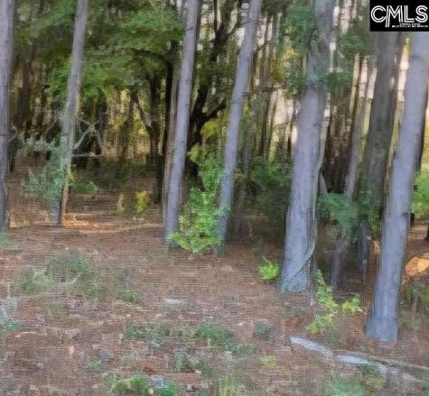 35 Simmons Drive Camden SC 29020