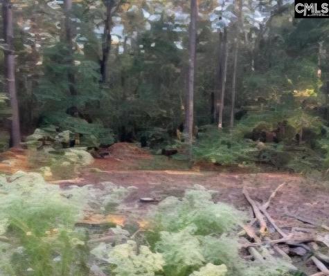 35 Simmons Drive Camden SC 29020