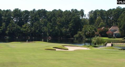 9 Enlow Court Columbia SC 29223