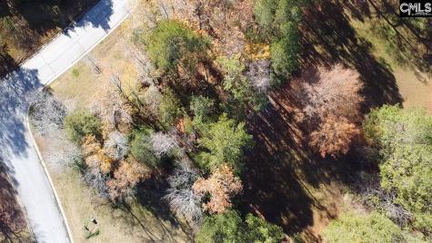 101 Summer Branch Lane Irmo SC 29063