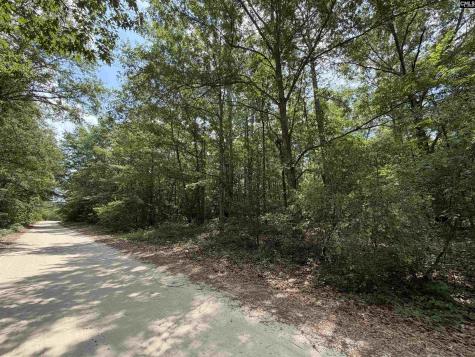 143 Seleta Circle Lexington SC 29073