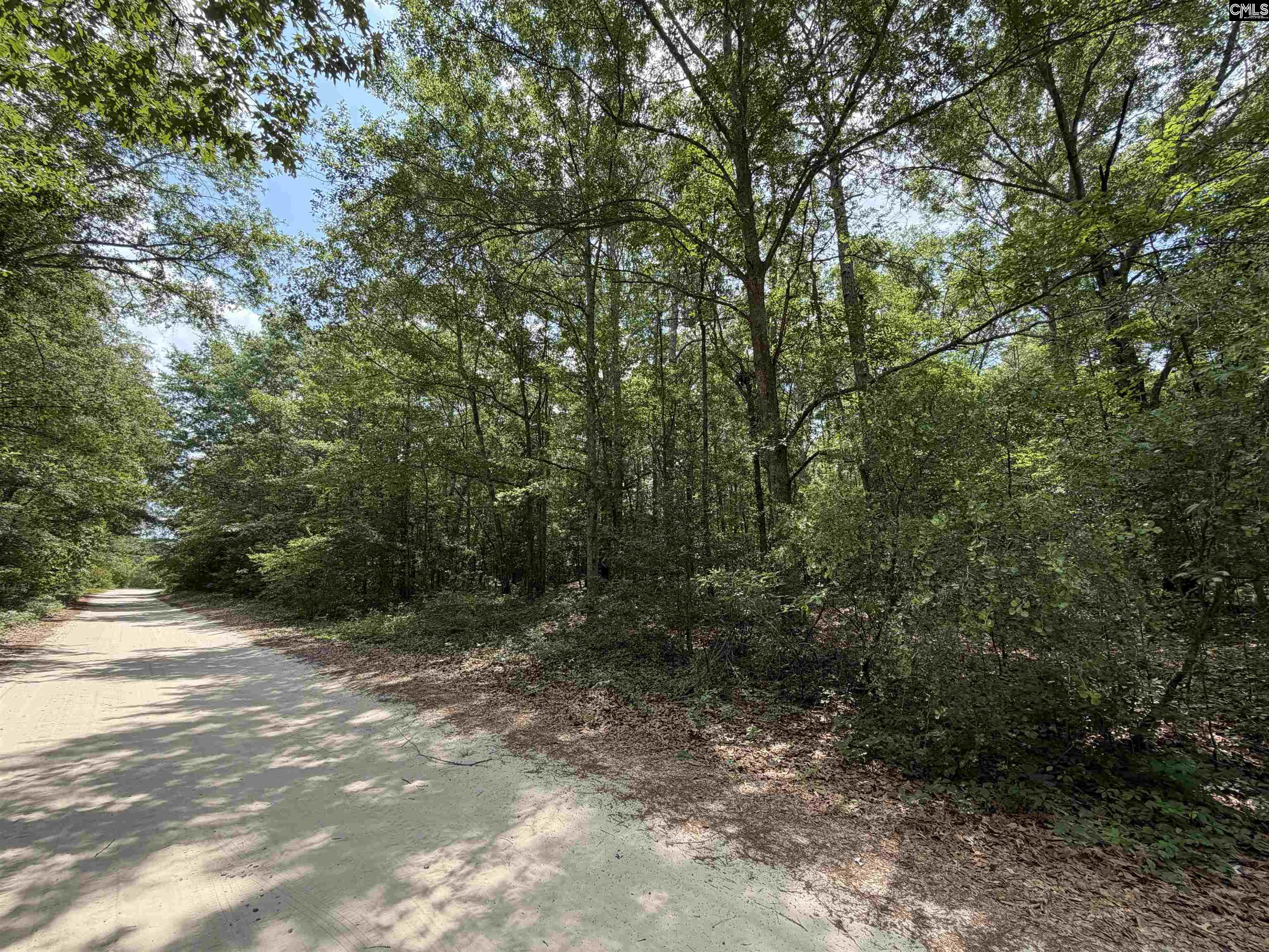 143 Seleta Circle Lexington SC 29073