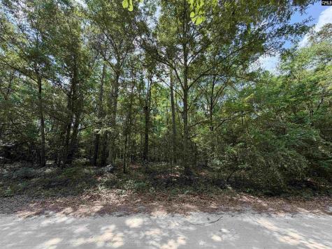 143 Seleta Circle Lexington SC 29073