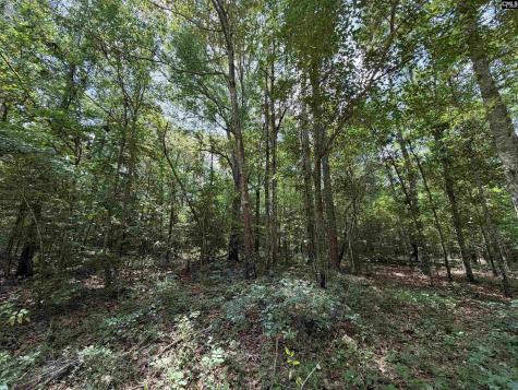 143 Seleta Circle Lexington SC 29073