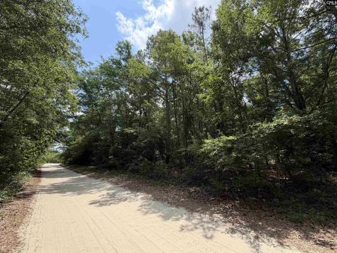 143 Seleta Circle Lexington SC 29073