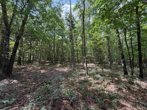 143 Seleta Circle Lexington SC 29073